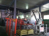 四軸碼垛機(jī)器人